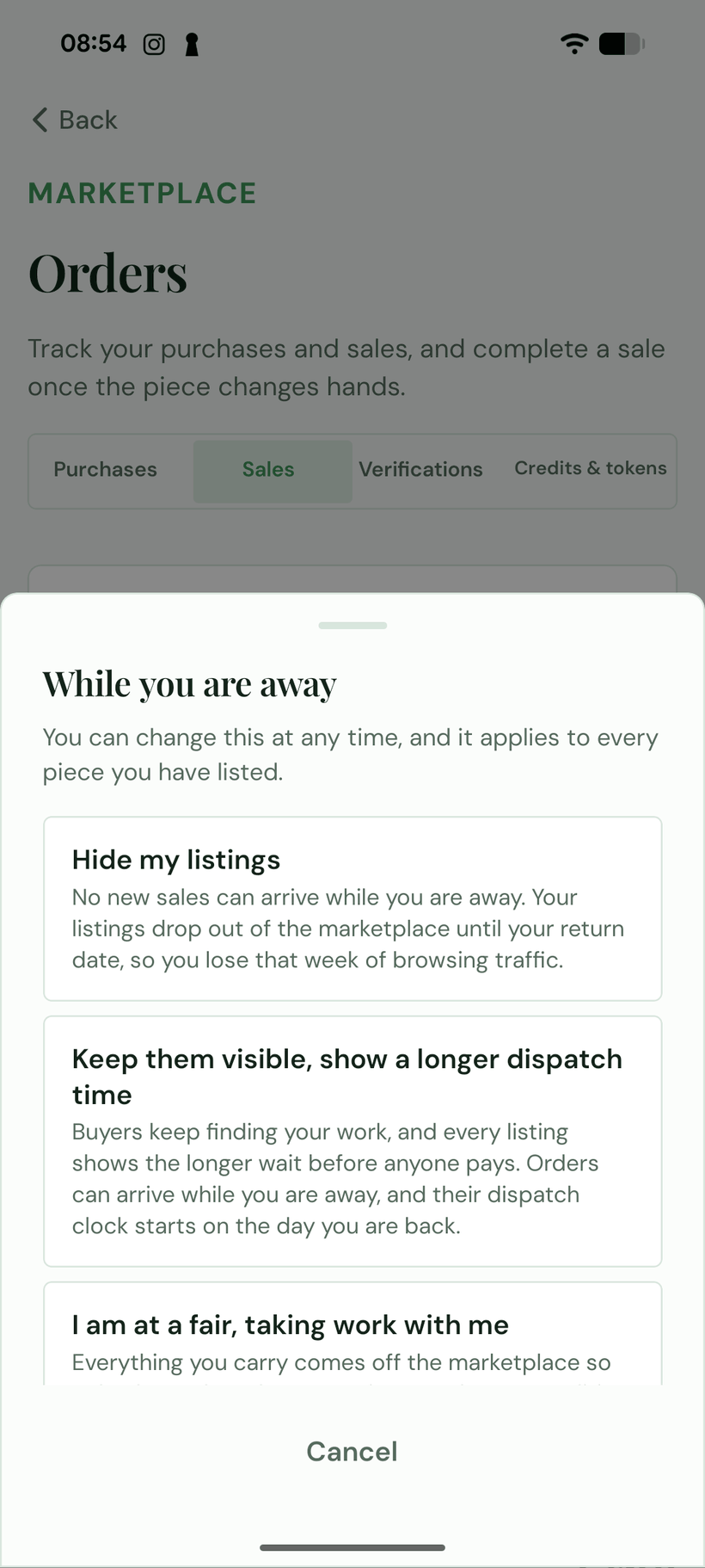 The three away settings in the app: hide my listings, keep them visible with a longer dispatch time, or at a fair