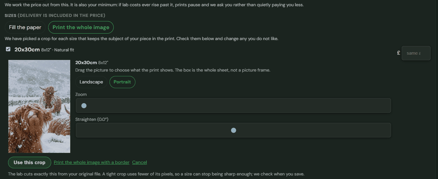 The crop tool on the web, with landscape or portrait, zoom and straighten
