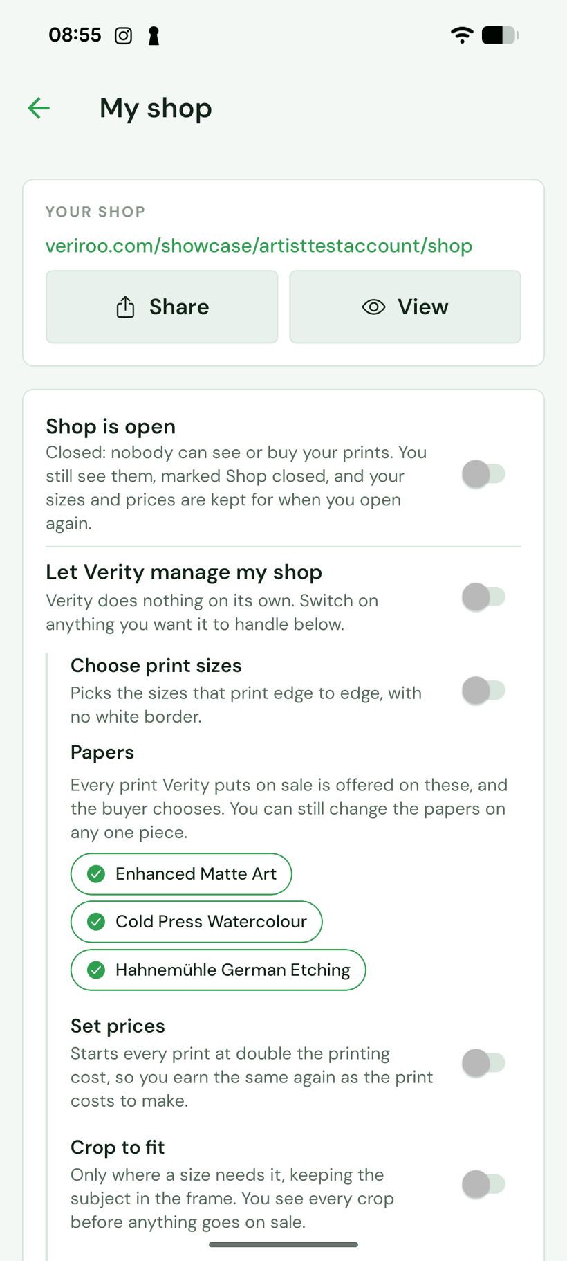 The shop link in the app with Share and View, above the shop settings